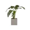 Calix Planter -Best Decoration Shop 106711