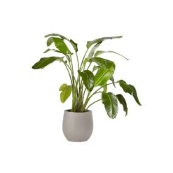 Rosen Planter