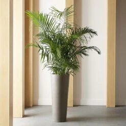 Arbor Planter - Large -Best Decoration Shop 106713 5