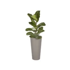 Arbor Planter - Small