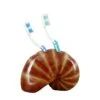 Shell Tooth Brush Holder -Best Decoration Shop 13711 1 1