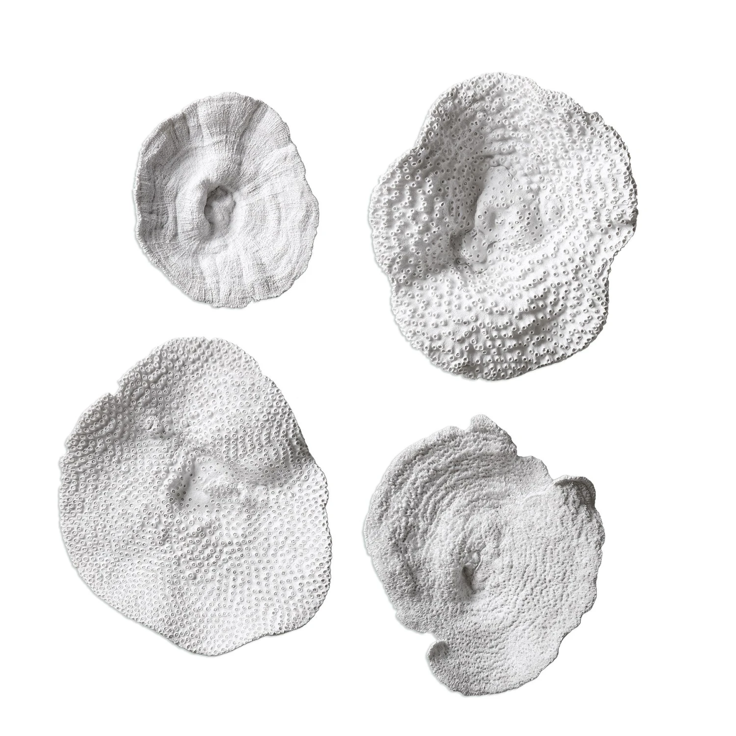 Sea Coral 3 Sea Coral