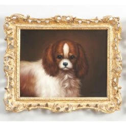 King Charles Spaniel