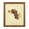 Danchin Cocker Spaniel -Best Decoration Shop 380360 1