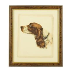 Danchin Cocker Spaniel