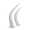 Horns - White -Best Decoration Shop 380585 1