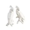 Large Cockatoos - White -Best Decoration Shop 380755 1