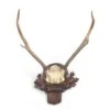Small Deer Antlers - Oak