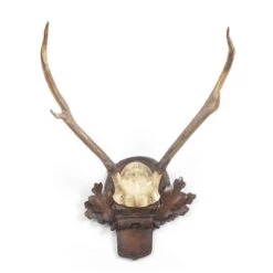 Small Deer Antlers - Oak