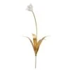 Tulip Stem - Medium -Best Decoration Shop 383092 1