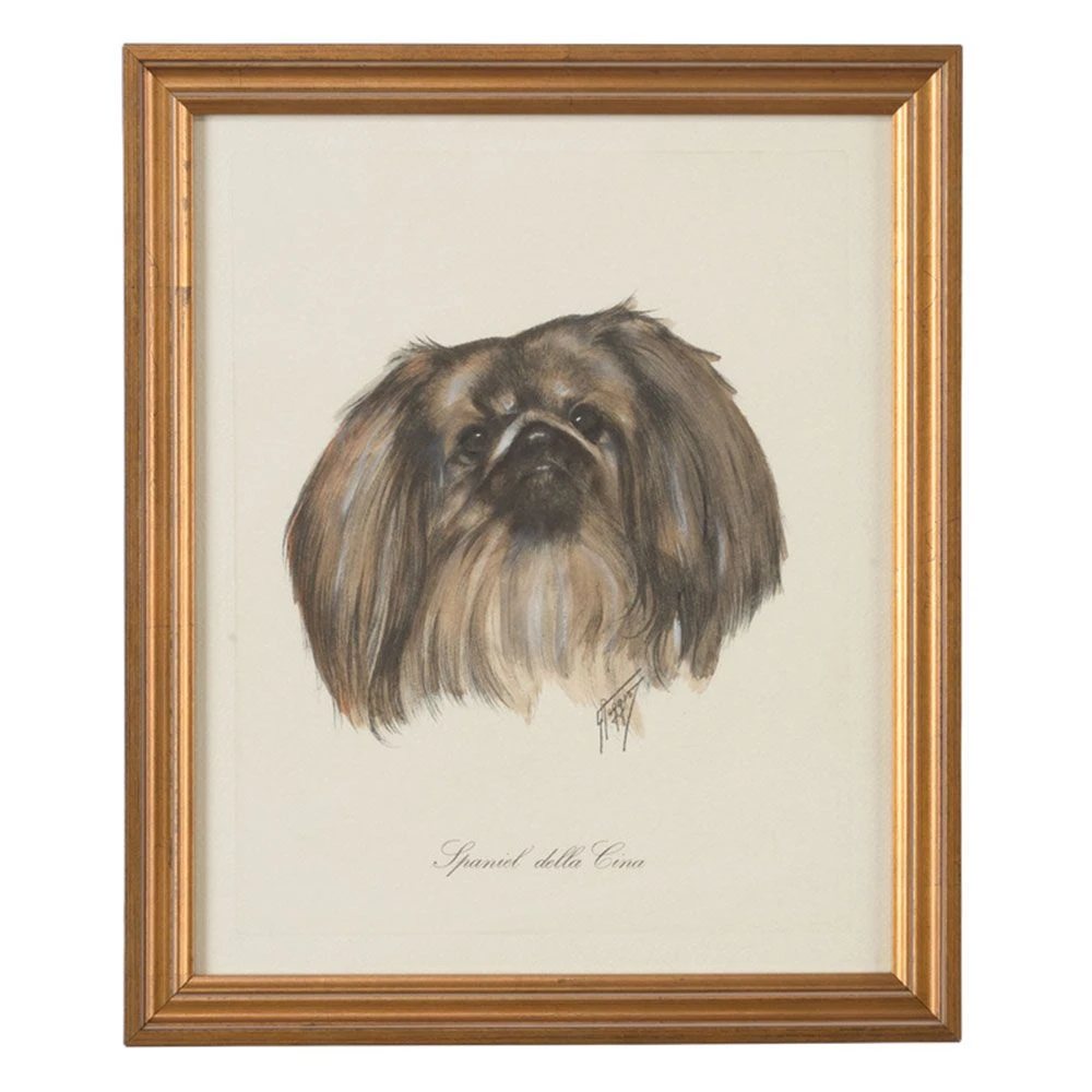 Spanial Della Cina 3 Spanial Della Cina