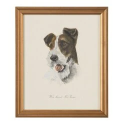 Wire-Haired Fox Terrier