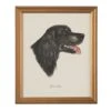 Gordon Setter -Best Decoration Shop 386649 1