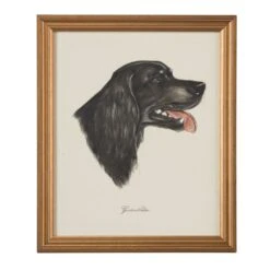 Gordon Setter