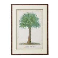 Palm Of The Tropics I