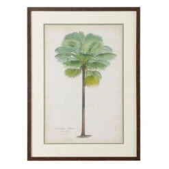 Palm Of The Tropics II