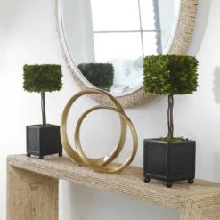 Preserved Boxwood Square Topiaries, S/2