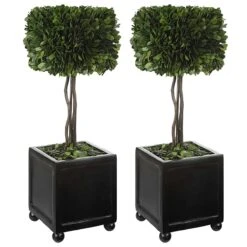 Preserved Boxwood Square Topiaries, S/2 -Best Decoration Shop 60187 3