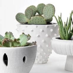 Spike Vase 10 Spike Vase -Best Decoration Shop 6944b658f27b33744497b6633f98eaa12395a019 full