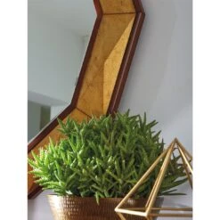 Savoy Faceted Mirror 9 Savoy Faceted Mirror -Best Decoration Shop 723 201 4