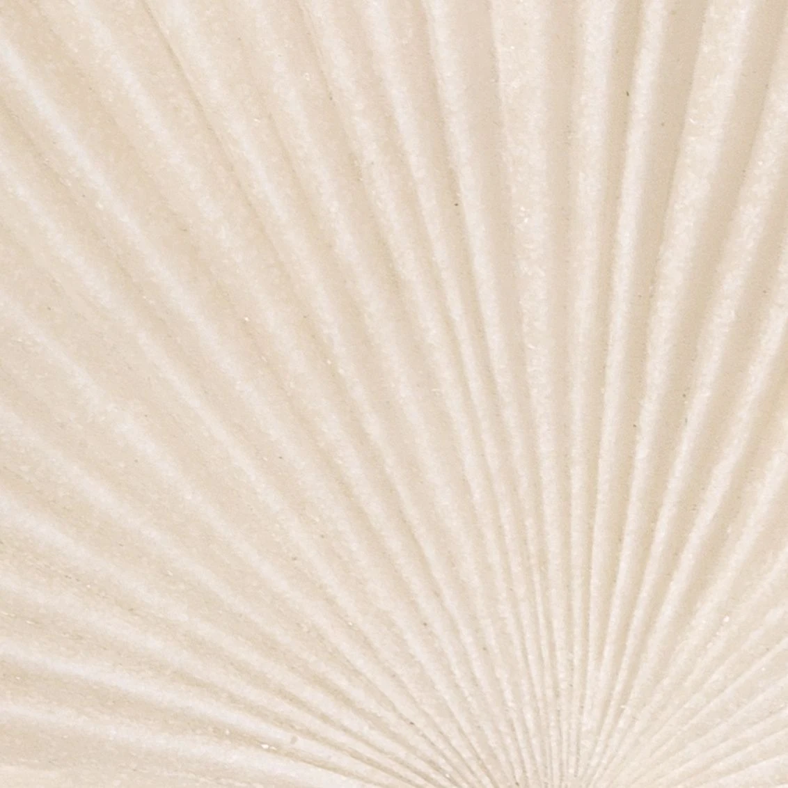 Island Leaf Object - Medium - Off White 4 Island Leaf Object - Medium - Off White - Image 2