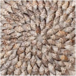 Riviera Framed Wall Art - Simnia Shell -Best Decoration Shop 8rivi besi 2