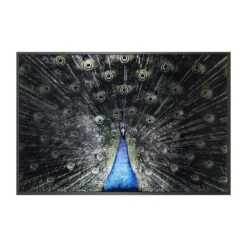 Brilliant Plumage - 72" X 48" - Charcoal Frame