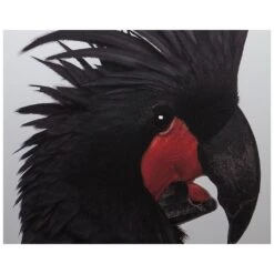 Birds Of A Feather (Set Of 2) - 30" X 60" - White Floater Frame -Best Decoration Shop a0267 8