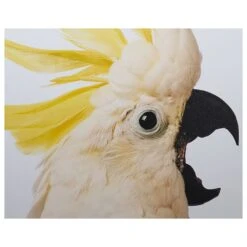 Birds Of A Feather (Set Of 2) - 30" X 60" - White Floater Frame -Best Decoration Shop a0267 9