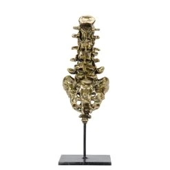 Noir Vertebrae - Brass And Metal