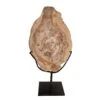 Noir Wood Fossil With Stand - 12 Inches -Best Decoration Shop am 39a 1