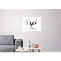 Canada Geese -Best Decoration Shop canada geese 2