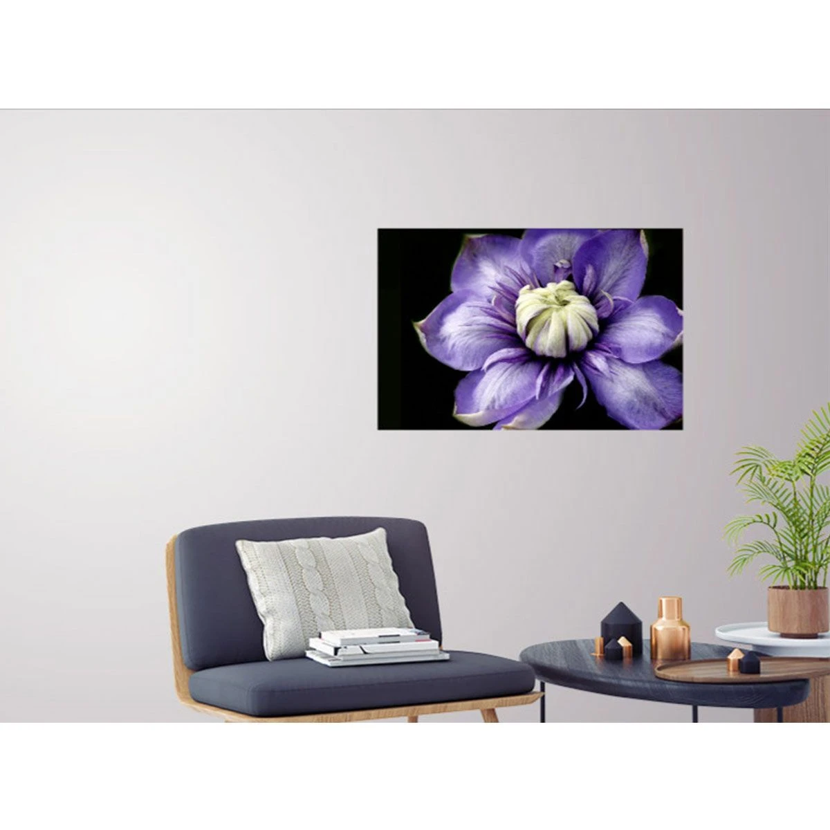 Clematis 4 Clematis - Image 2