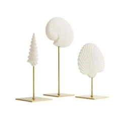 Shell Sculptures, Set Of 3