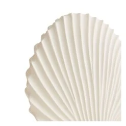 Shell Sculptures, Set Of 3 -Best Decoration Shop dc9000.d6
