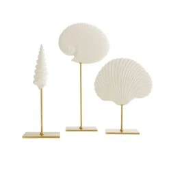 Shell Sculptures, Set Of 3 -Best Decoration Shop dc9000 1