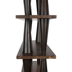 Noir Mood Bookcase - Ebony And Dark Walnut -Best Decoration Shop gbcs217dw 8 lg