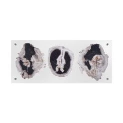 Floating Petrified Triple Slice Wall Art