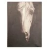 Horse In Shadows -Best Decoration Shop kcar1213