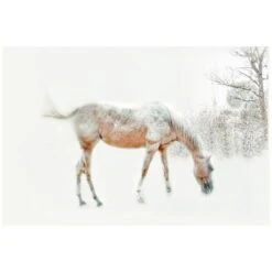 Winter Horse