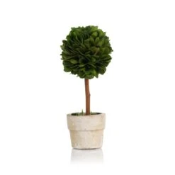 6-Inch Tall Mini Single Ball Preserved Boxwood Topiary