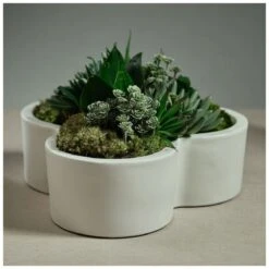 Lucine Flower Shape Planter / Bowl 7 Lucine Flower Shape Planter / Bowl -Best Decoration Shop zodax vt 1401